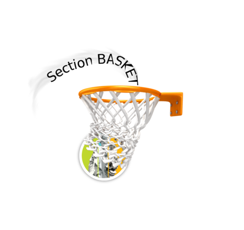 Section BASKET