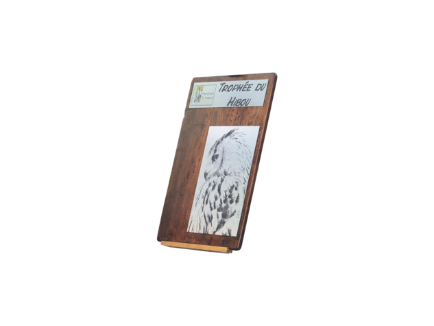 Trophée du hibou
