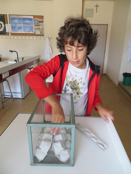 Ossian dépose dans le vivarium des boîtes à oeufs