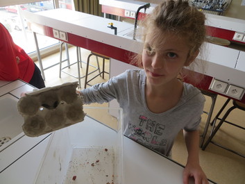 Toutes les semaines, Jeanne et ses camarades renouvellent les éléments du vivarium